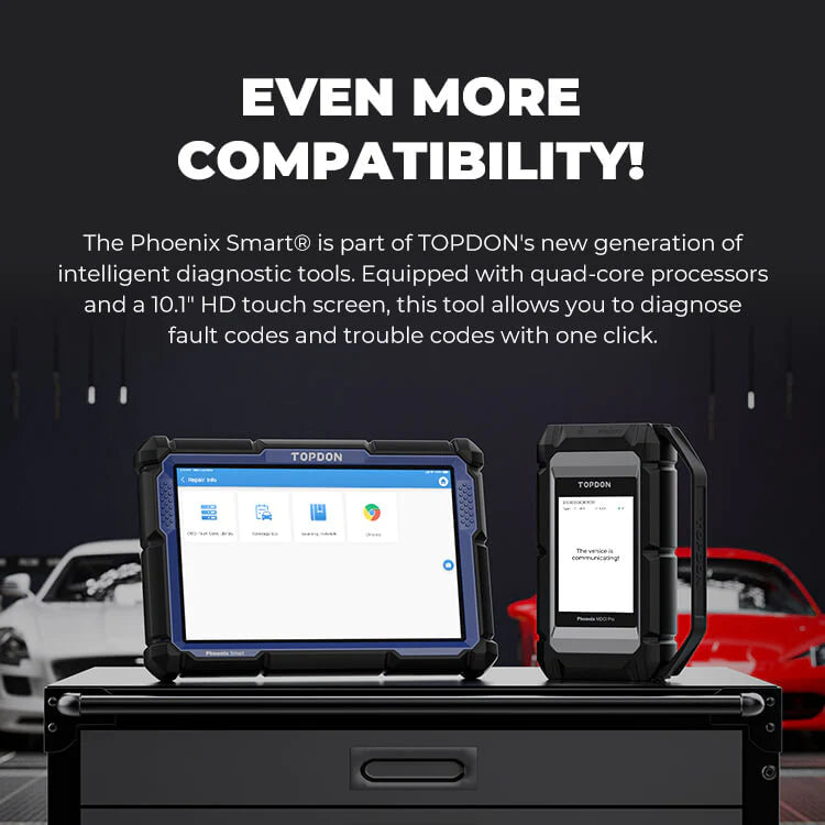 PHOENIX SMART (2YR SUBS)