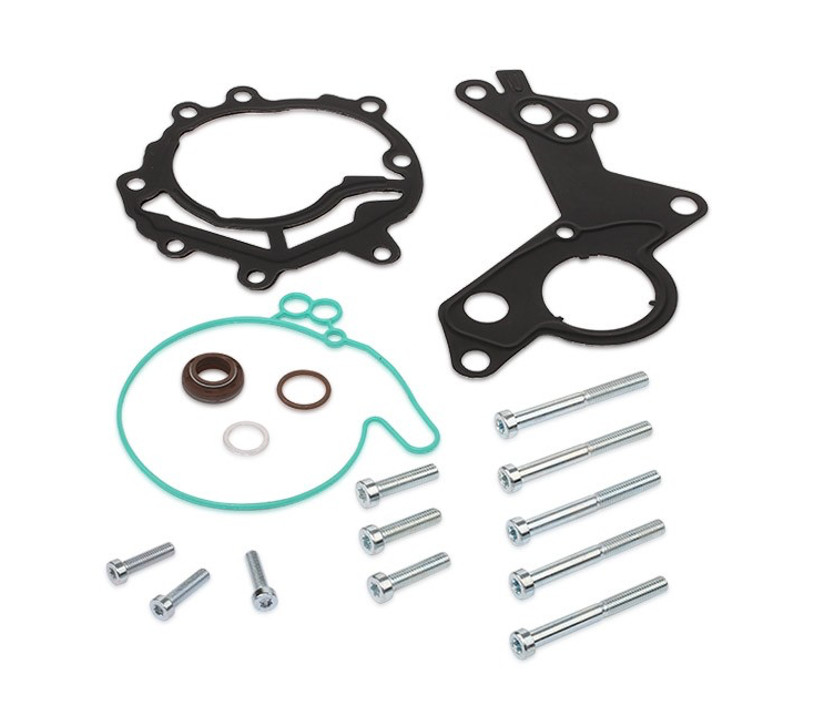 038145209 VAG TANDEM FUEL / VACUUM PUMP REPAIR KIT